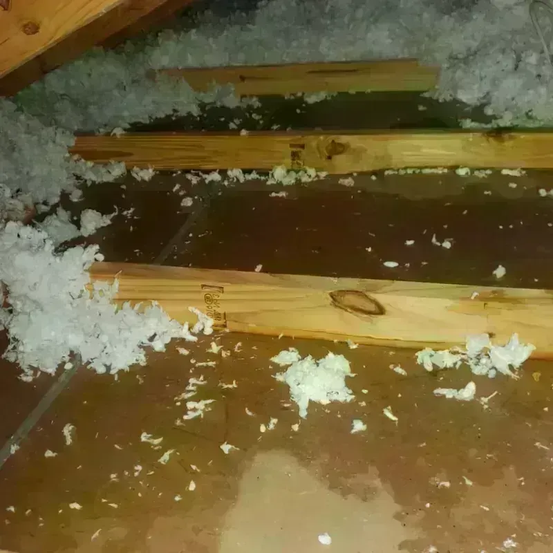 Attic Water Damage in Lenawee County, MI