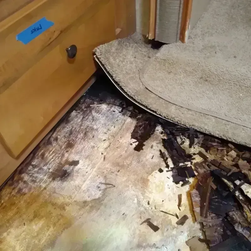 Wood Floor Water Damage in Lenawee County, MI